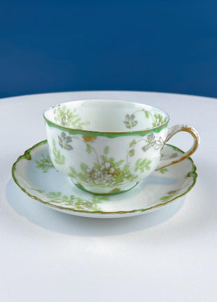 Antique Limoges Tea Cup and Saucer. Hand Painted Wild Flowers and Ferns. Modern Farmhouse. French Country. Home Dining Kitchen Decor.
