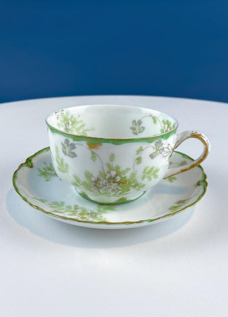 Antique Limoges Tea Cup and Saucer. Hand Painted Wild Flowers and Ferns. Modern Farmhouse. French Country. Home Dining Kitchen Decor.