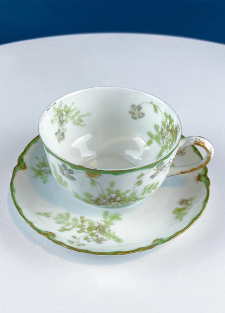 Antique Limoges Tea Cup and Saucer. Hand Painted Wild Flowers and Ferns. Modern Farmhouse. French Country. Home Dining Kitchen Decor.