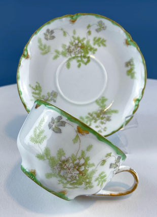 Antique Limoges Tea Cup and Saucer. Hand Painted Wild Flowers and Ferns. Modern Farmhouse. French Country. Home Dining Kitchen Decor.