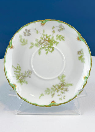 Antique Limoges Tea Cup and Saucer. Hand Painted Wild Flowers and Ferns. Modern Farmhouse. French Country. Home Dining Kitchen Decor.