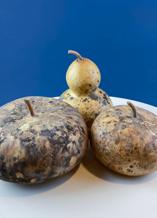 Collection of Real Natural Dried Gourds. Set of 3. Thanksgiving, Halloween, or Fall Home/Porch Decor. Store Display. Modern Farmhouse.