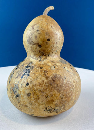 Collection of Real Natural Dried Gourds. Set of 3. Thanksgiving, Halloween, or Fall Home/Porch Decor. Store Display. Modern Farmhouse.