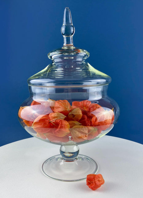 Glass Footed & Lidded Apothecary Jar with Chinese Lanterns. For Objects Display, Bathroom Toiletries Holiday Decor. Terrarium. Candy Dish.