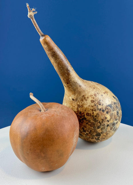 Real Natural Dried Gourds. Set of 2. Round & Long. Thanksgiving Halloween or Fall Home/Porch Decor. Rustic Retail Display. Modern Farmhouse.