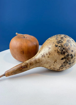 Real Natural Dried Gourds. Set of 2. Round & Long. Thanksgiving Halloween or Fall Home/Porch Decor. Rustic Retail Display. Modern Farmhouse.