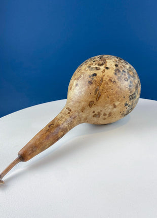 Real Natural Dried Gourds. Set of 2. Round & Long. Thanksgiving Halloween or Fall Home/Porch Decor. Rustic Retail Display. Modern Farmhouse.