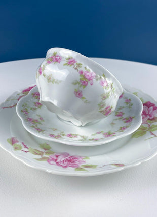 Antique Porcelain Tea Cup and Saucer Trio. Hand-Painted Roses by M&Z Austria and Rosenthal. Home Decor. Tea Hosting Essentials.