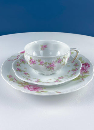 Antique Porcelain Tea Cup and Saucer Trio. Hand-Painted Roses by M&Z Austria and Rosenthal. Home Decor. Tea Hosting Essentials.