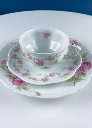 Antique Porcelain Tea Cup and Saucer Trio. Hand-Painted Roses by M&Z Austria and Rosenthal. Home Decor. Tea Hosting Essentials.