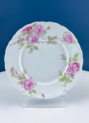Antique Porcelain Tea Cup and Saucer Trio. Hand-Painted Roses by M&Z Austria and Rosenthal. Home Decor. Tea Hosting Essentials.