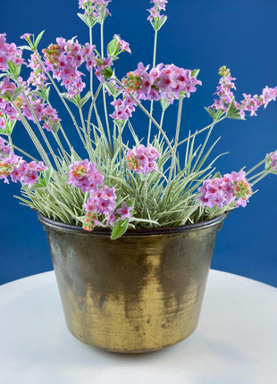 Vintage Brass Pail Cauldron. Hand Pounded Bucket with Wrought Iron Handle. Hand Hammered Rustic Home Dining Room Decor. Farmhouse Display.