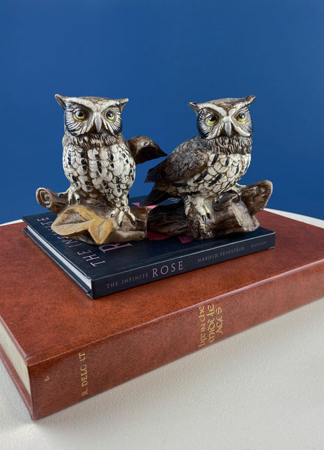 Vintage HOMCO Porcelain Owl Figurines. Set of 2 Birds. Office or Library Display. Halloween Celebration. Gift for Bookworm. Woodland Decor.
