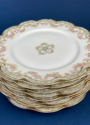 Antique Limoges Salad or Dessert Plates with Matching Serving Bowl. Set of 9 8.5" Plates. Dining Table Decor. French Country Living.