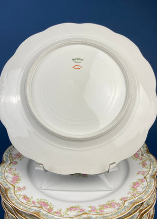 Antique Limoges Salad or Dessert Plates with Matching Serving Bowl. Set of 9 8.5" Plates. Dining Table Decor. French Country Living.