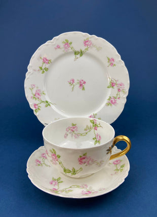 Antique Porcelain Tea Cup and Saucer Trio. Hand-Painted Roses by M&Z Austria and Rosenthal. Home Decor. Tea Hosting Essentials.