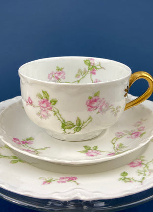 Antique Limoges Tea Cup and Saucer. Hand Painted Wild Flowers and Ferns. Modern Farmhouse. French Country. Home Dining Kitchen Decor.