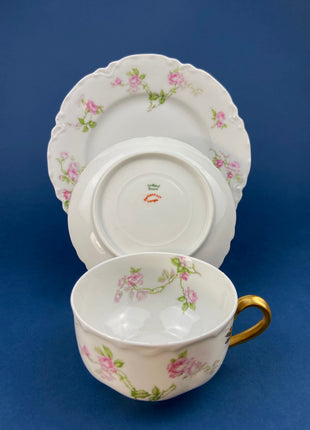Antique Limoges Tea Cup and Saucer. Hand Painted Wild Flowers and Ferns. Modern Farmhouse. French Country. Home Dining Kitchen Decor.