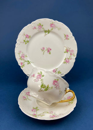 Antique Limoges Tea Cup and Saucer. Hand Painted Wild Flowers and Ferns. Modern Farmhouse. French Country. Home Dining Kitchen Decor.