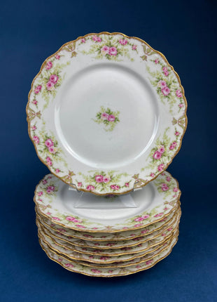 Antique Limoges Salad or Dessert Plates with Matching Serving Bowl. Set of 9 8.5" Plates. Dining Table Decor. French Country Living.