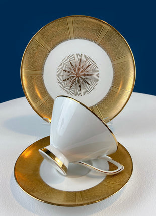 Vintage White & Gold Cup and Saucer. Hand Painted Golden Rose. Tuscan English Fine Bone China. Hosting Necessities. Tea Party. Collectibles.