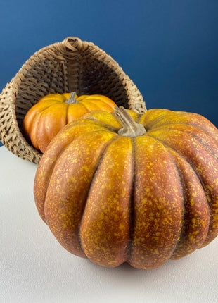 Set of Two Realistic Pumpkins in Different Sizes. Staple Thanksgiving or Fall Decoration. Home Decor. Retail Display. Modern Farmhouse.