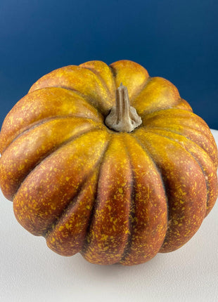 Set of Two Realistic Pumpkins in Different Sizes. Staple Thanksgiving or Fall Decoration. Home Decor. Retail Display. Modern Farmhouse.