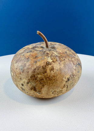 Real Natural Dried Gourds. Set of 2. Round & Long. Thanksgiving Halloween or Fall Home/Porch Decor. Rustic Retail Display. Modern Farmhouse.