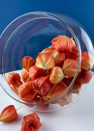 Iridescent Clear & Gold Glass Decorative Jar Canister or Vase. Stainless Steel Lid. Swirl Shape. Modern Display. Holiday Decor Storage.