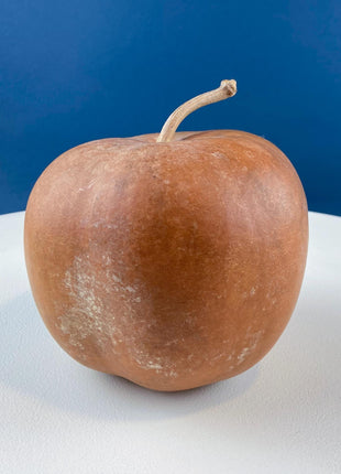 Rustic Distressed Fabric Pumpkins with Wooden Stems. Set of 2. Thanksgiving Halloween or Fall Home Retail Display. Modern Farmhouse.