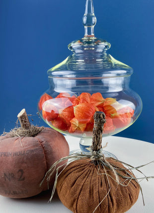 Glass Footed & Lidded Apothecary Jar with Chinese Lanterns. For Objects Display, Bathroom Toiletries Holiday Decor. Terrarium. Candy Dish.