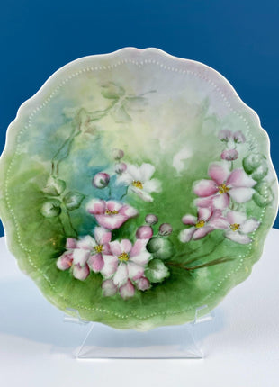 Antique Hand-Painted Plate Collection. Set of 3 German & Austrian Rose Motifs. Home and Garden Decor. Tea Hosting. Wall Art.