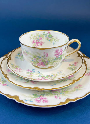 Antique Limoges Tea Cup and Saucer. Hand Painted Wild Flowers and Ferns. Modern Farmhouse. French Country. Home Dining Kitchen Decor.