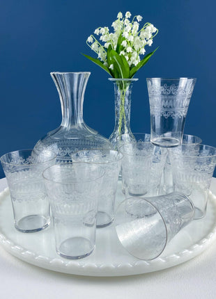 Fostoria Needle-Etched Cloverleaf Crystal Set of 9 Water Juice Liqueur Tumblers with Matching Decanter Carafe. Dining Barware LibraryDisplay