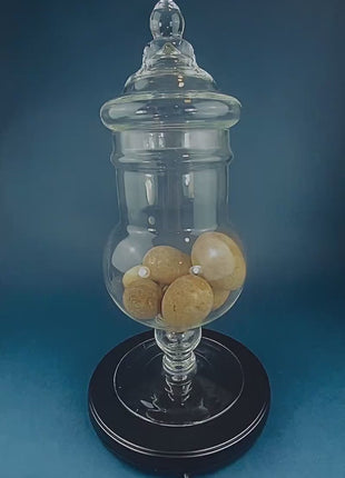 Large Lidded Apothecary with Eggs and Feathers. Alternative Spring/Easter Decor.  Footed, Glass Storage Jar. Table Centerpiece. Shabby Chic.