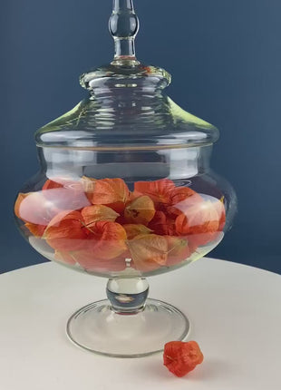 Glass Footed & Lidded Apothecary Jar with Chinese Lanterns. For Objects Display, Bathroom Toiletries Holiday Decor. Terrarium. Candy Dish.