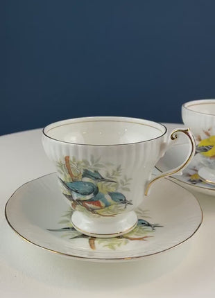 Vintage Cup and Saucer with Blue Birds. Queens's Fine Bone China. Birds of America. Pair of Kingfishers. Gift for Dad, Fisherman, Bird Lover