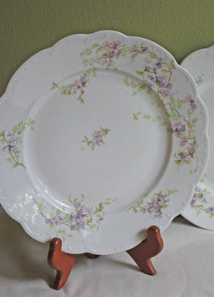 Antique Austrian Dinner Plate Replacement.  M.Z. Austria Porcelain Plate with  Scalloped Rim and Tiny Lavender Flowers by Imperial Vienna.
