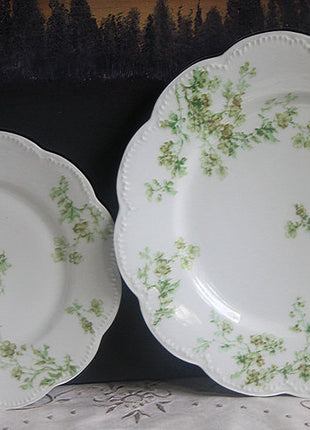 Haviland Limoges Soup Bowls with Floral Pattern - Set of 8