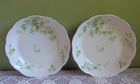 Haviland Limoges Soup Bowls with Floral Pattern - Set of 8