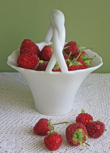 Porcelain Basket Braided Handle & Decorative Strawberries