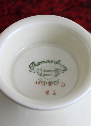 Vintage Cup and Saucer Set. Made in Bavaria, Thomas Ivory.