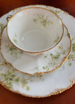 Antique Cup and Saucer. Warwick Tea or Coffee Set. Made in the USA. Delicate Cottage Rose Motif.
