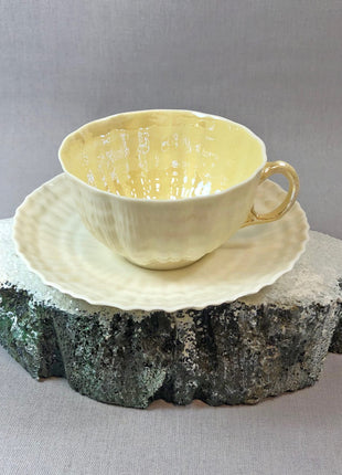 Belleek Cup and Saucer. Sea Shell Pattern Tea Set Made of Dainty Porcelain in Ireland. Antique Reg 0857.