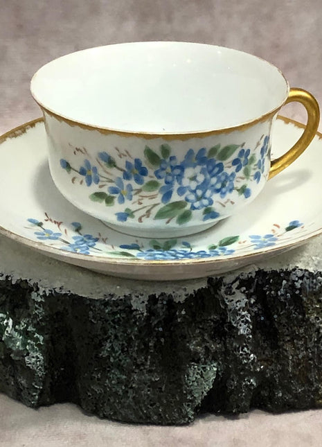 Bavarian Cup and Saucer with Forget Me Not Flowers and Gold Rims. Antique J&C Bavaria