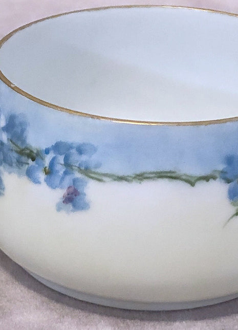 Antique Cup and Saucer with Forget Me Not Flowers Pattern.  Hand Painted Tea Set Made in Silesia.