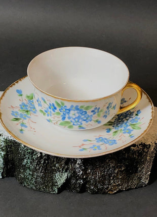 Bavarian Cup and Saucer with Forget Me Not Flowers and Gold Rims. Antique J&C Bavaria