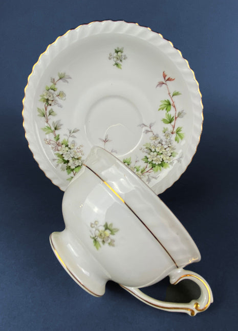 Franconia Teacup with Saucer. X&A Krautheim Selb Bavaria. Hawthorn Pattern. Fine Bone China Made in Germany.