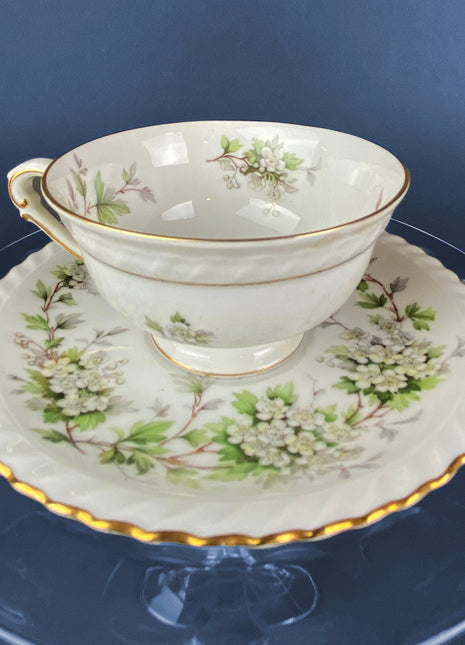 Franconia Teacup with Saucer. X&A Krautheim Selb Bavaria. Hawthorn Pattern. Fine Bone China Made in Germany.