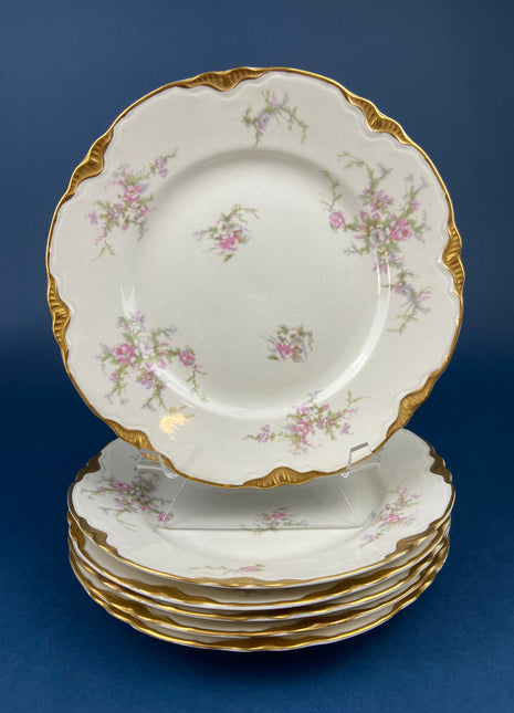 Antique Salad Plates. Warwick, Hand-painted Cottage Rose Motif. Made in the USA. Set of Six Plates.